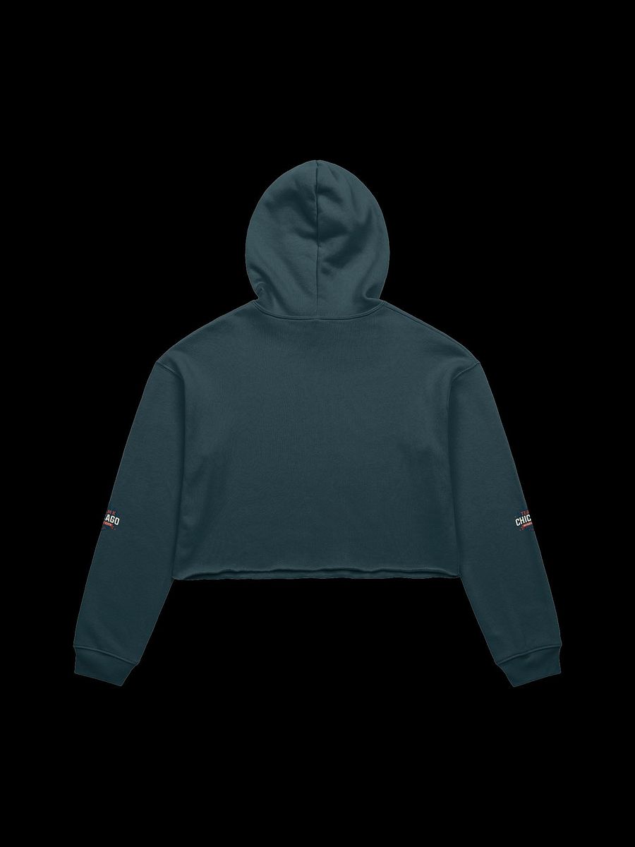 Team K Chicago Crop Hoodie product image (2)