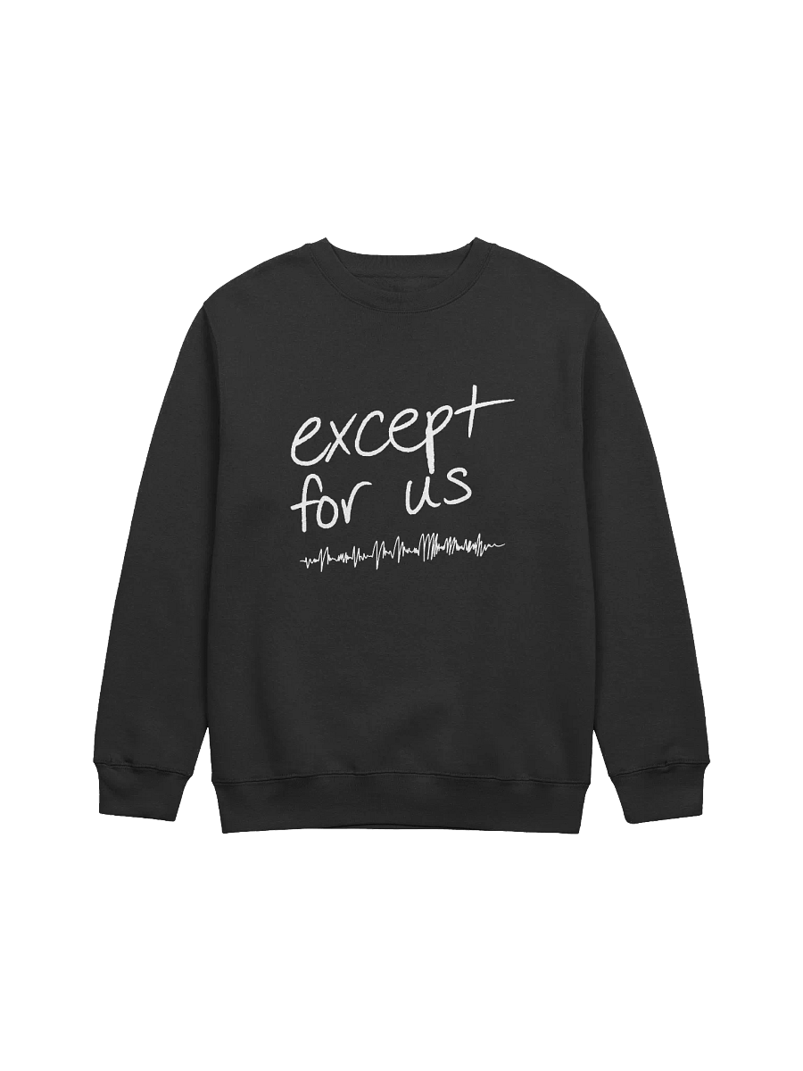 Except For Us Sweatshirt product image (1)