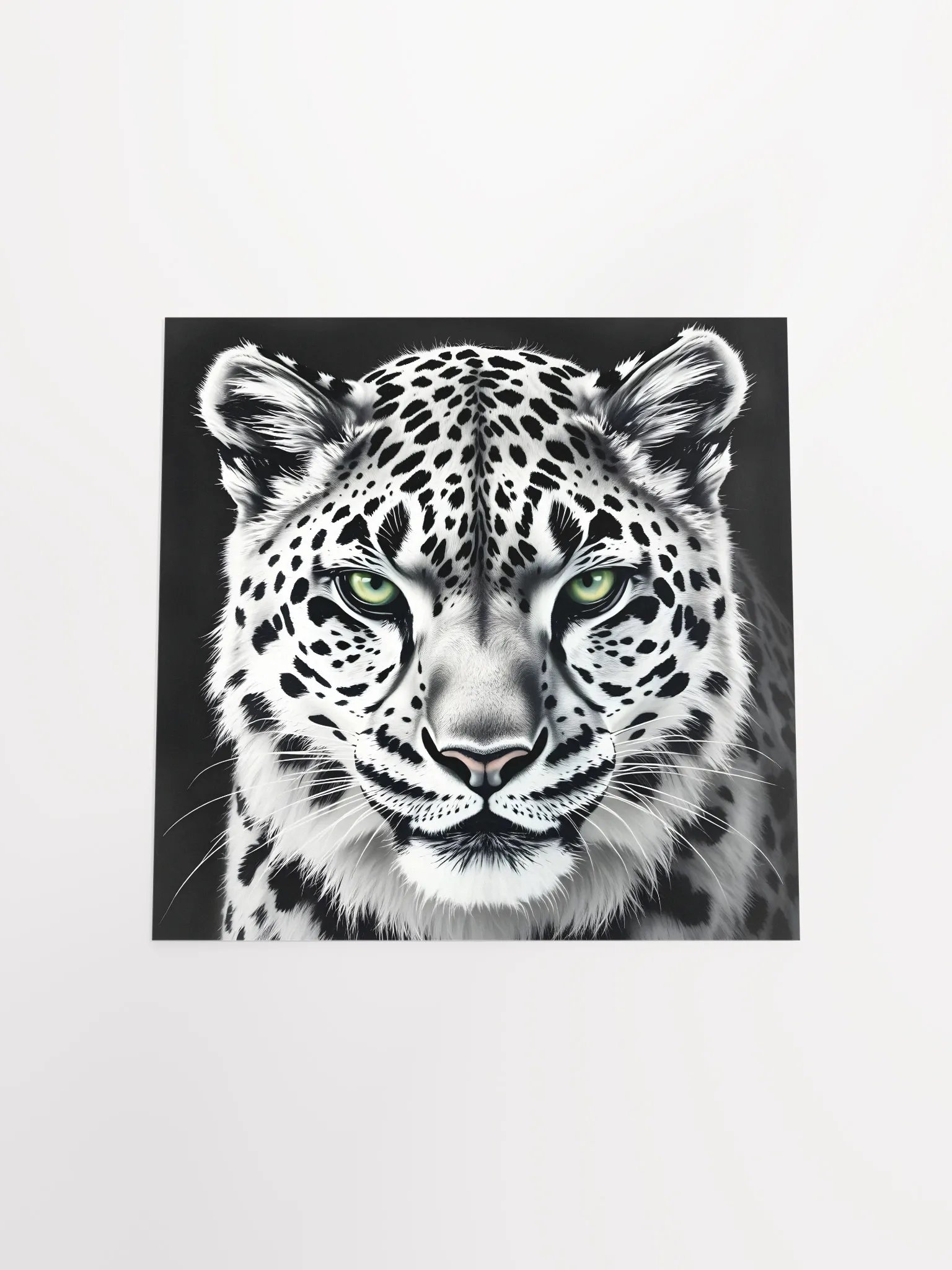 Snowleopard product image (16)