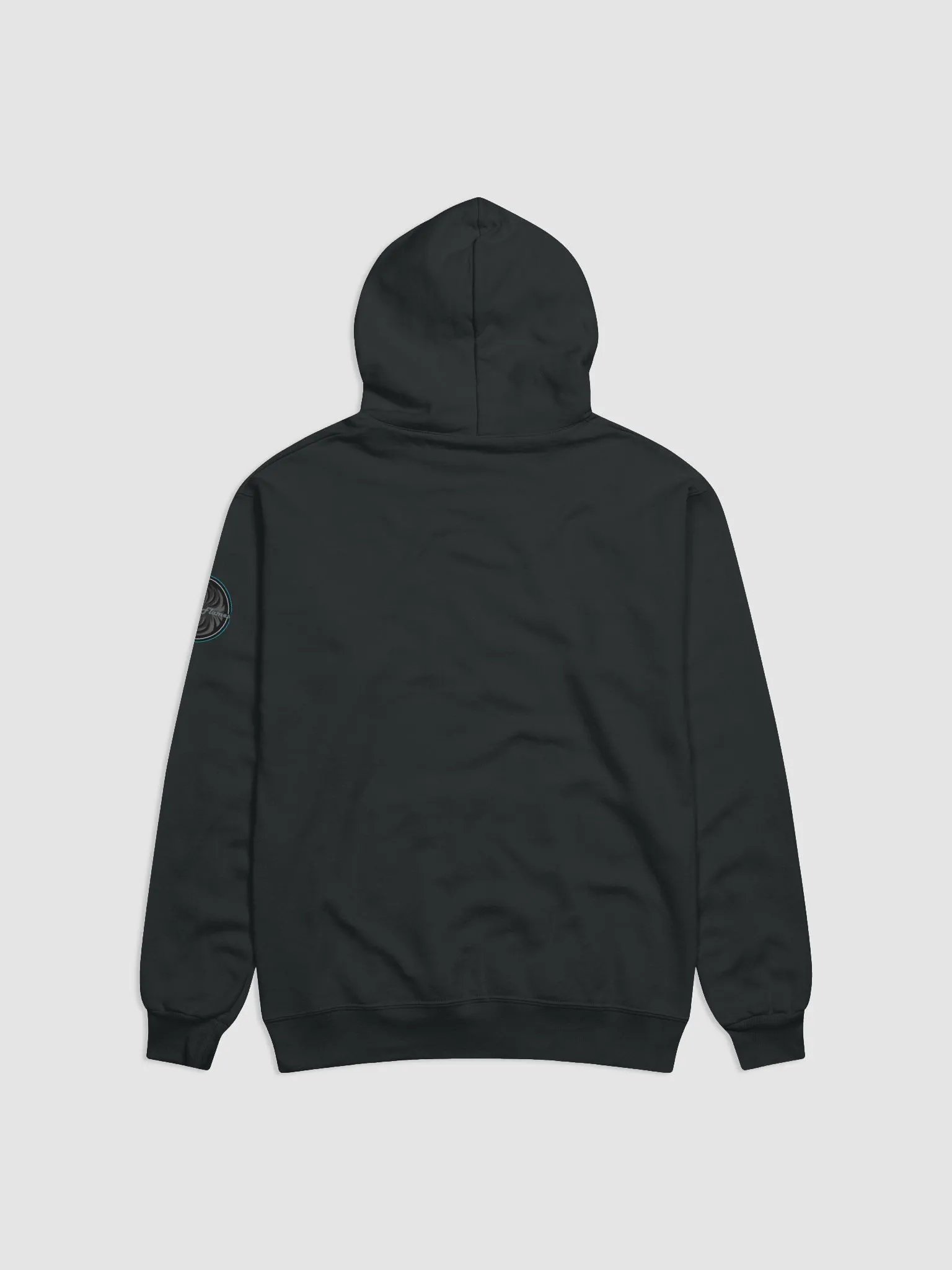 RavenPOWER Hoodie product image (2)