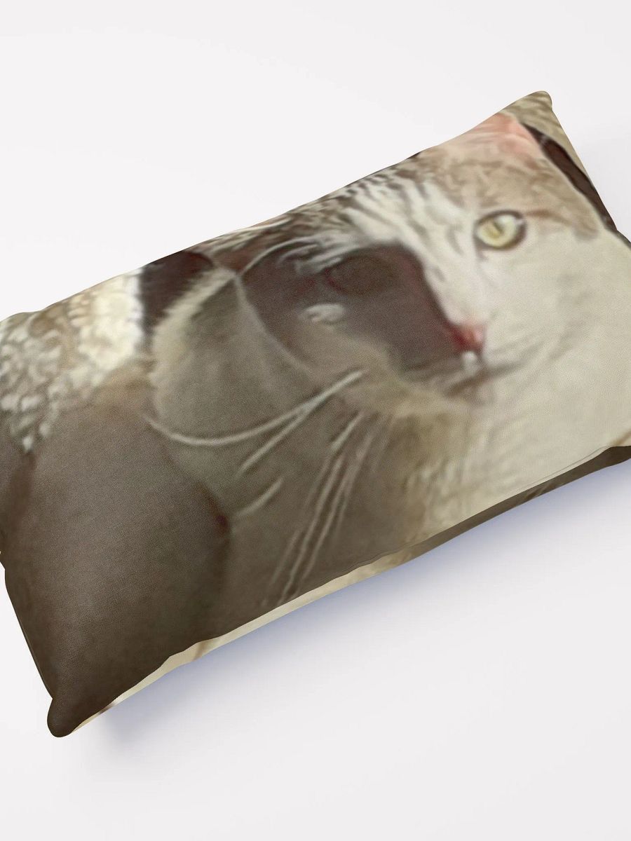 Cat Sunning product image (12)