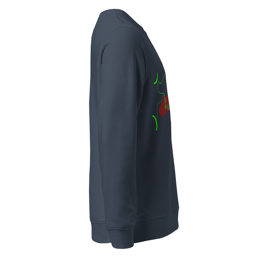 Galactic Connection Organic Sweatshirt product image (4)