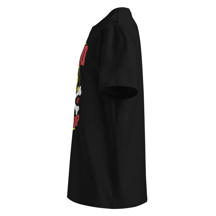 RAID IS NOT BACKUP - Organic Cotton Tee (Color) product image (2)