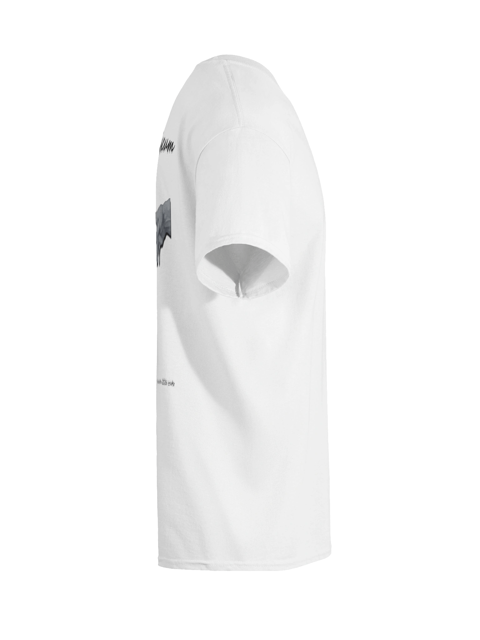 (W) Deus Nobiscum Heavyweight T-Shirt - Winter 2026 product image (12)