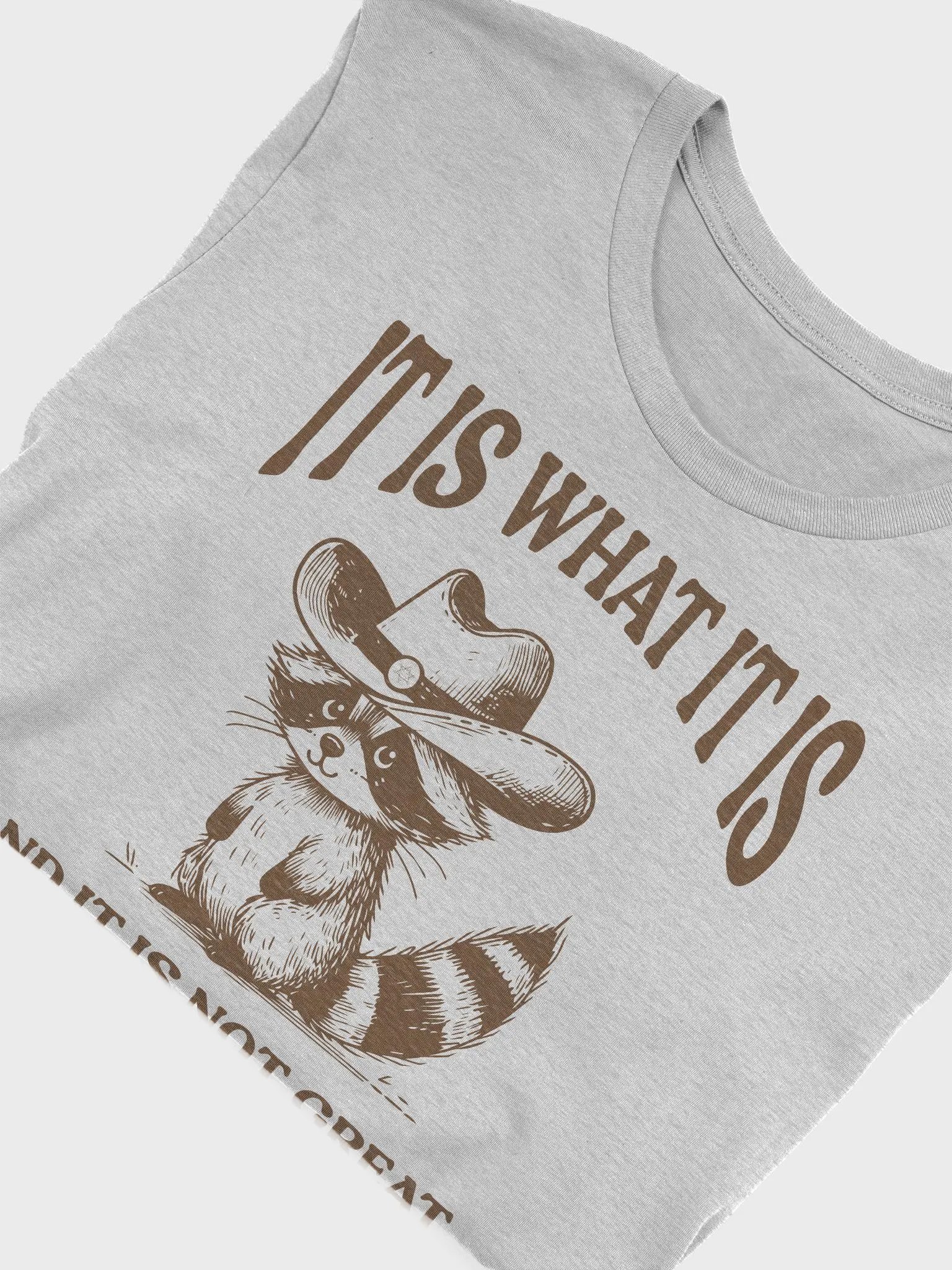 It Is What It Is and It Is Not Great Funny Raccoon T-Shirt product image (5)
