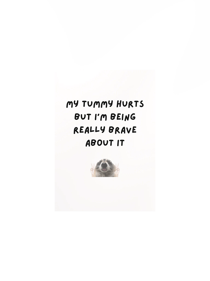 My Tummy Hurts - Raccoon Poster product image (2)
