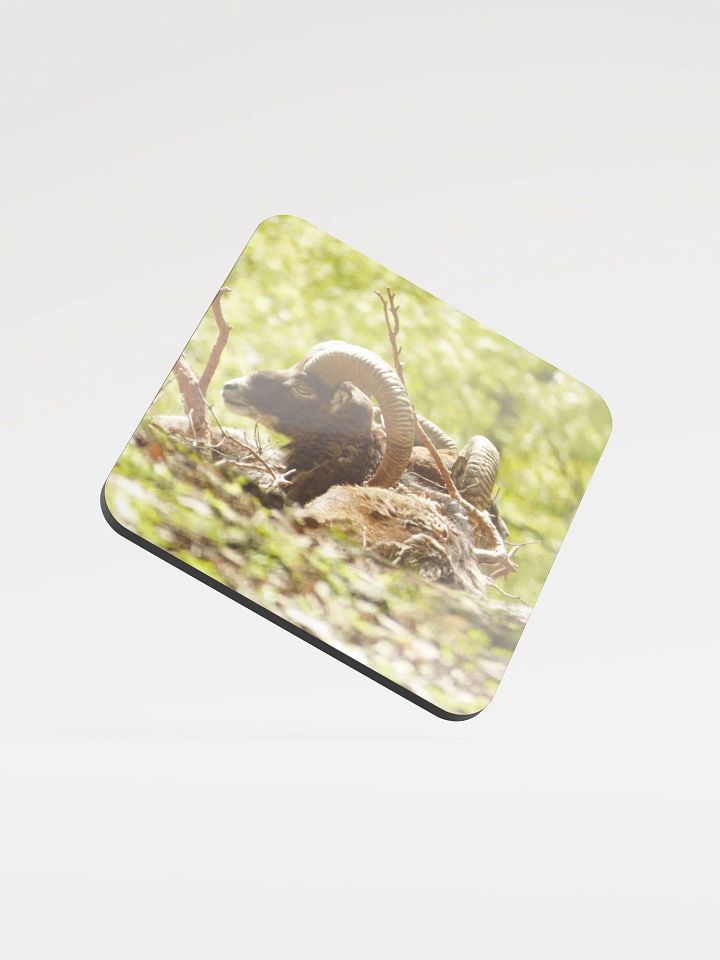 The European mouflon - Glossed Cork Coaster product image (1)