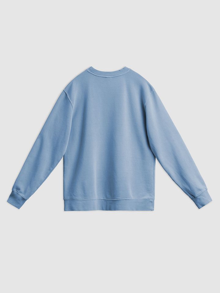 *not* mentally linear (sm. lined design, #BDCAEF) printed pigment crewneck product image (16)