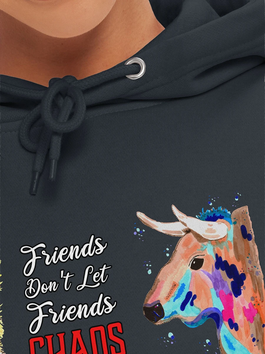 Friendship Premium Pullover Hoodie product image (21)