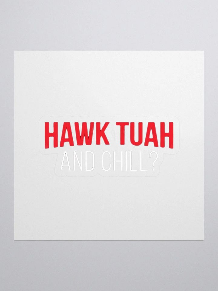 Hawk Tuah and Chill Stickers product image (1)