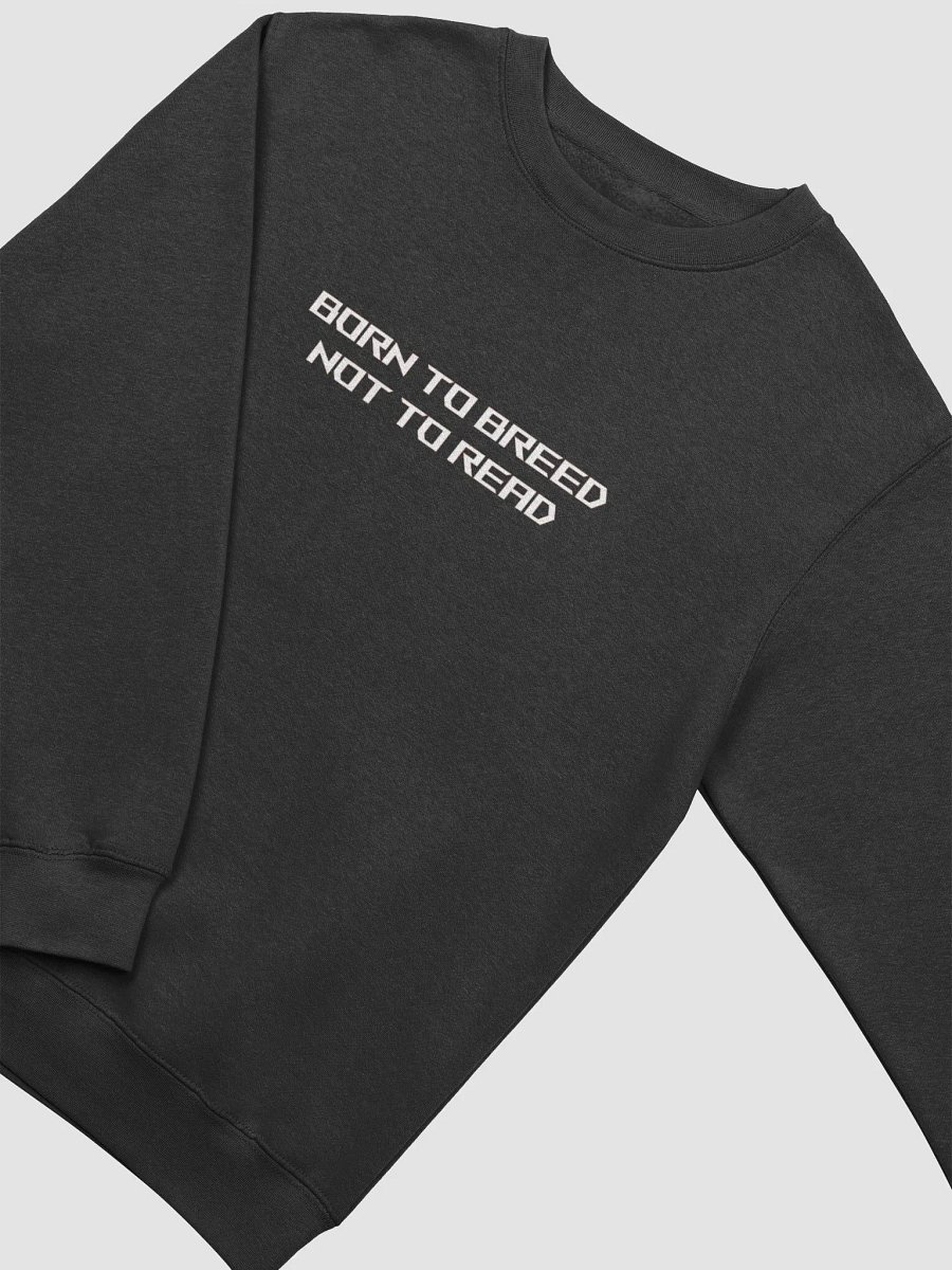 Rozar's BTBNTR Long sleeve product image (8)