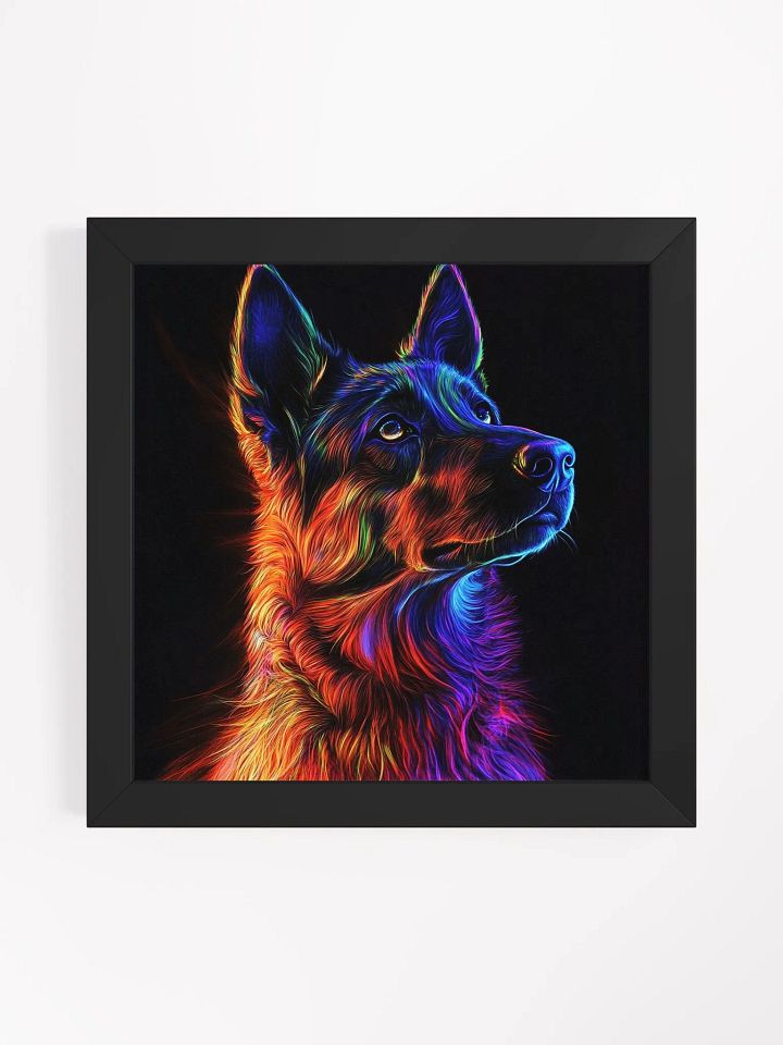 Belgický ovčák Malinois, neonový product image (7)