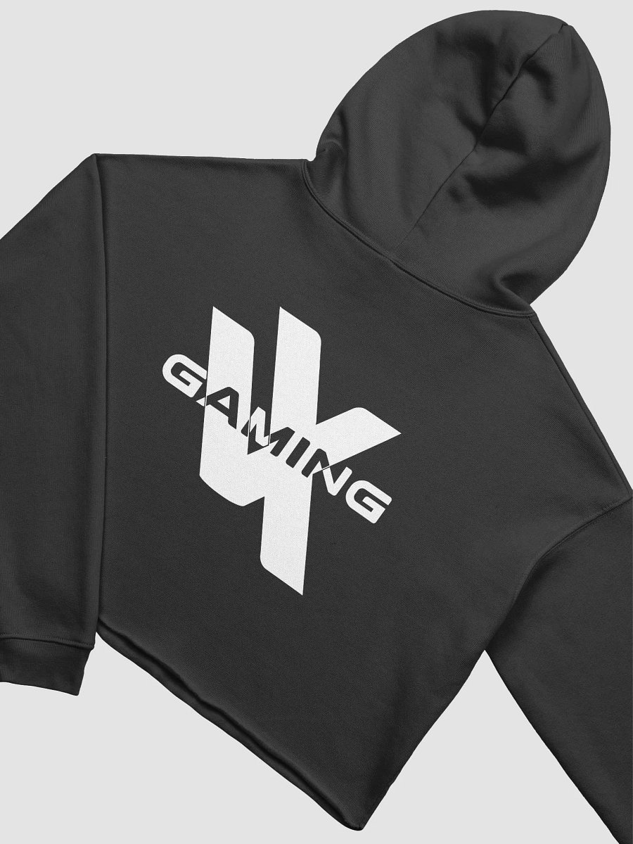 Tax Evasion Cropped Hoodie product image (26)