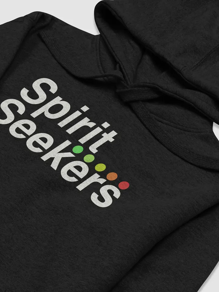 Spirit Seekers Hoodie product image (2)
