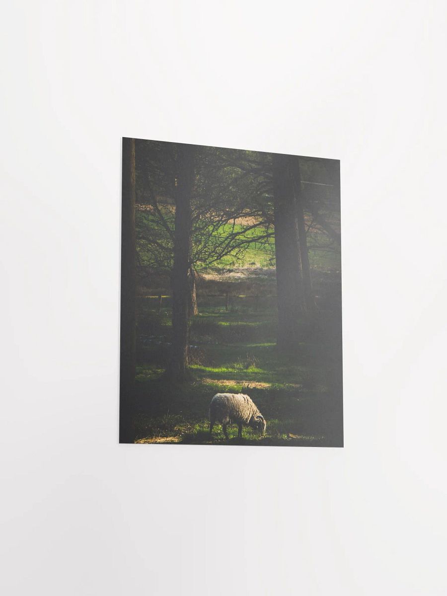 The Goat product image (8)