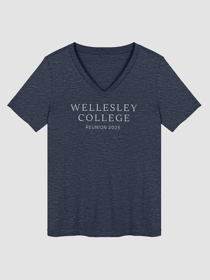 Minimalist Serif Reunion V-Neck with Small Wellesley College Seal on Back product image (1)