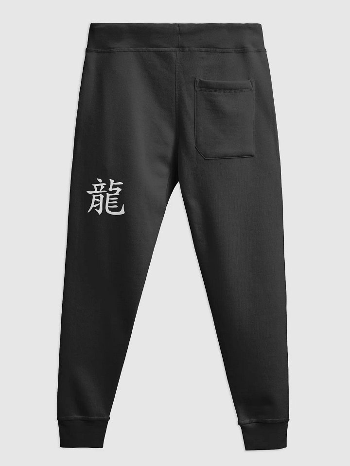 Men's Master Joggers product image (2)