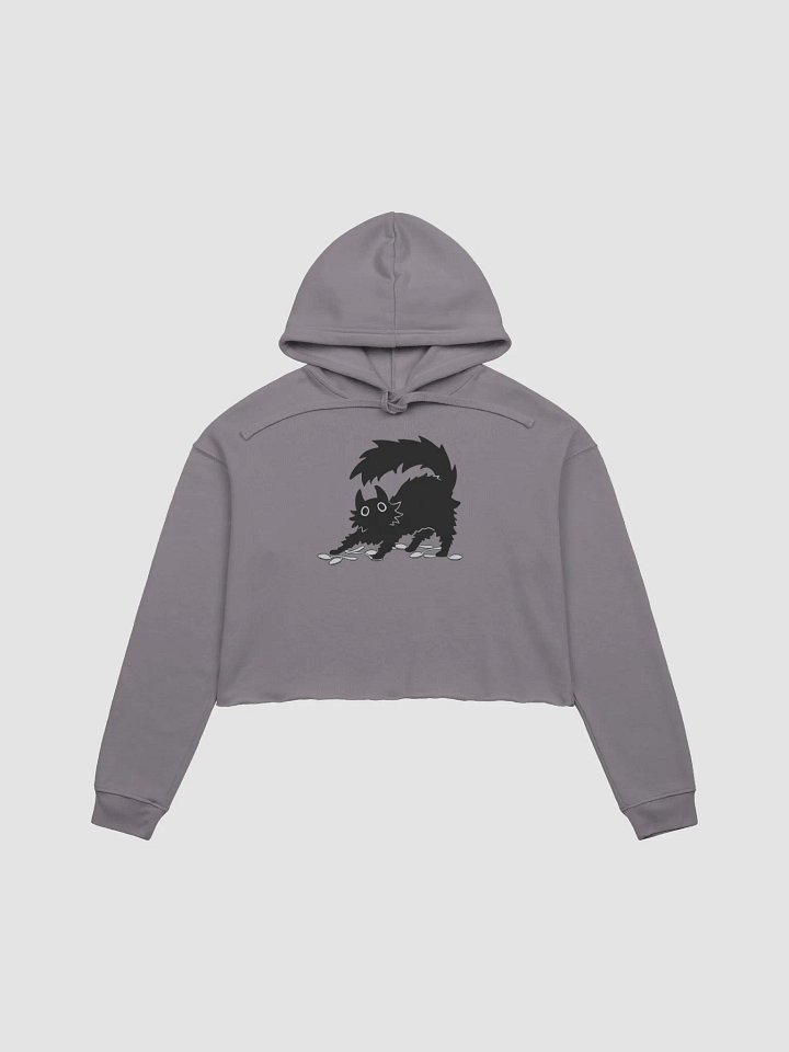 my SPOONS fleece crop hoodie product image (2)