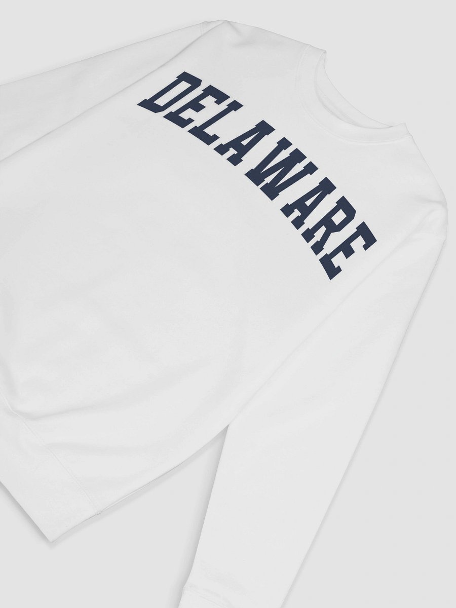 Delaware Vintage Varsity Premium Sweatshirt product image (58)
