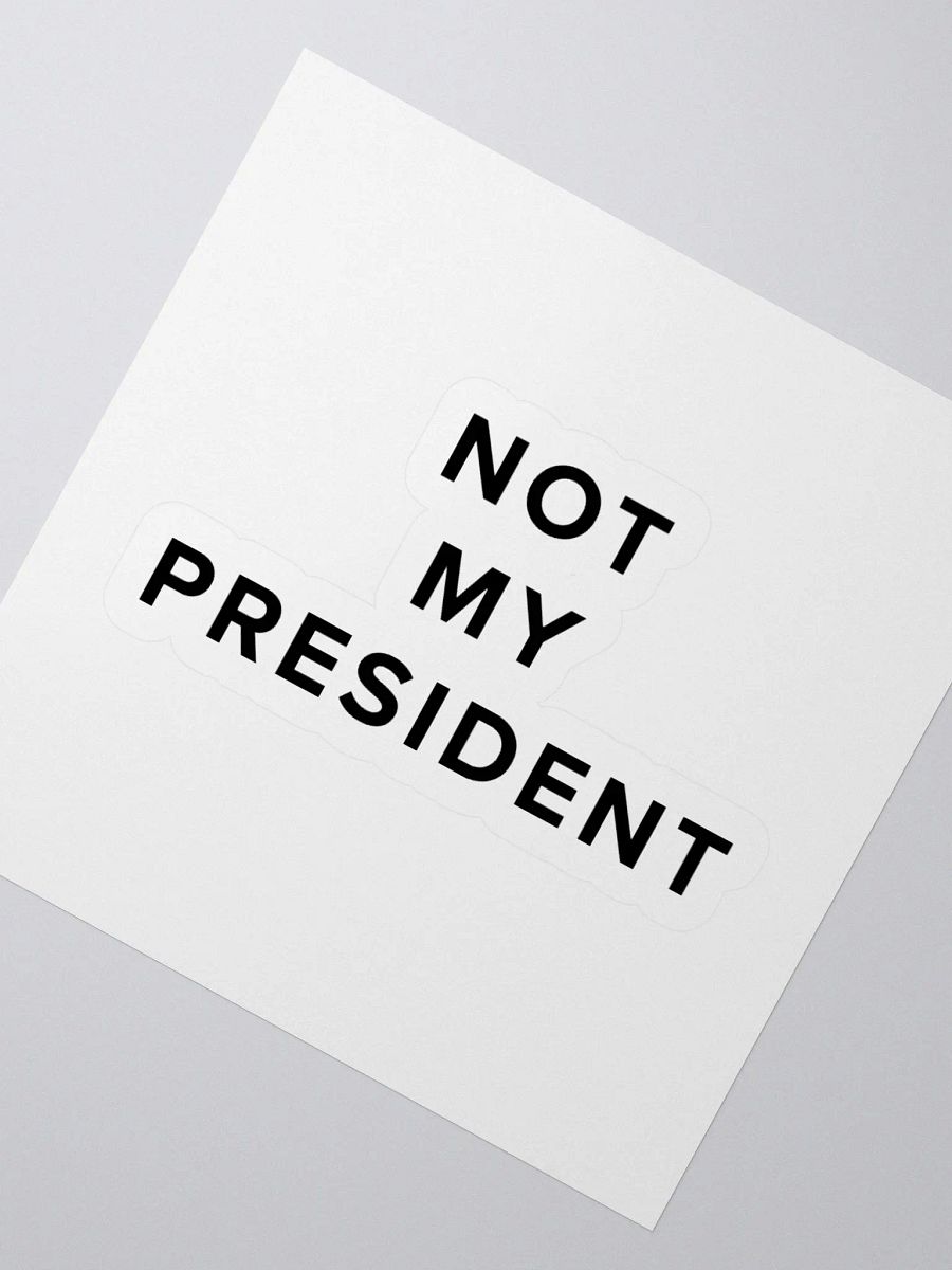 Not My President Vinyl Stickers product image (4)