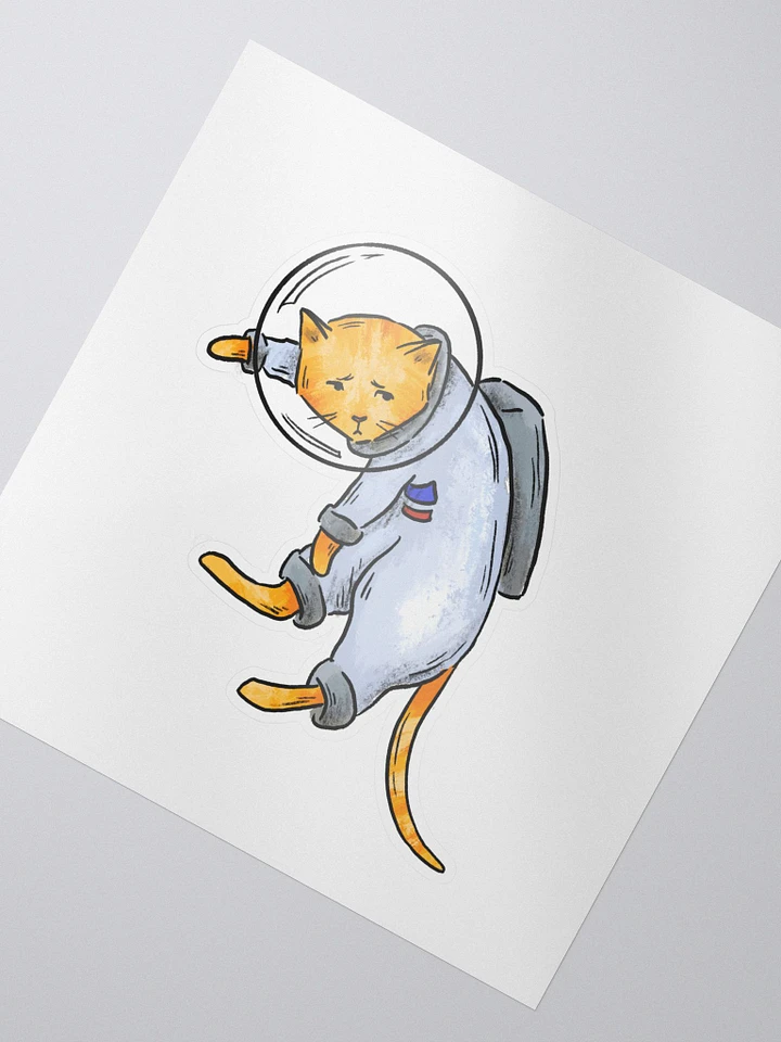 space cat product image (2)