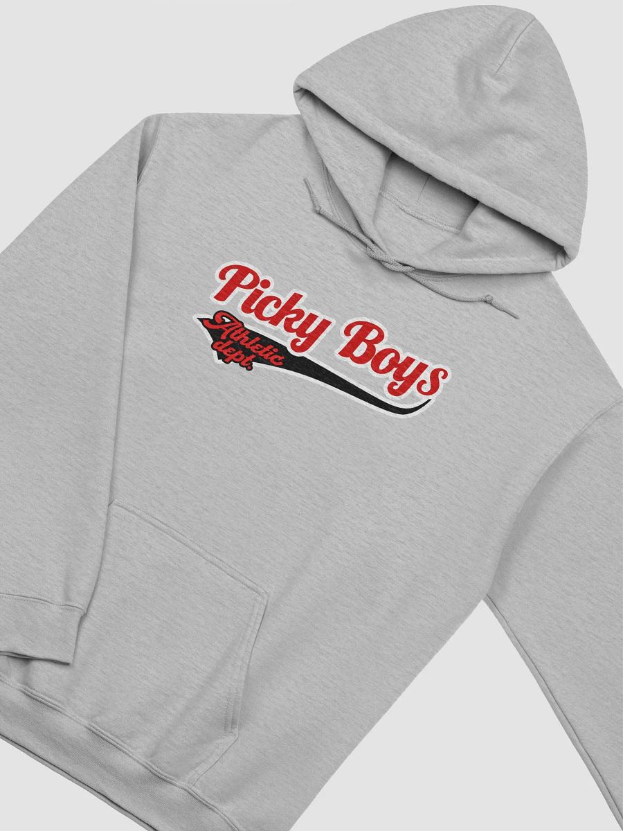 Athletic Department Hoodie product image (16)