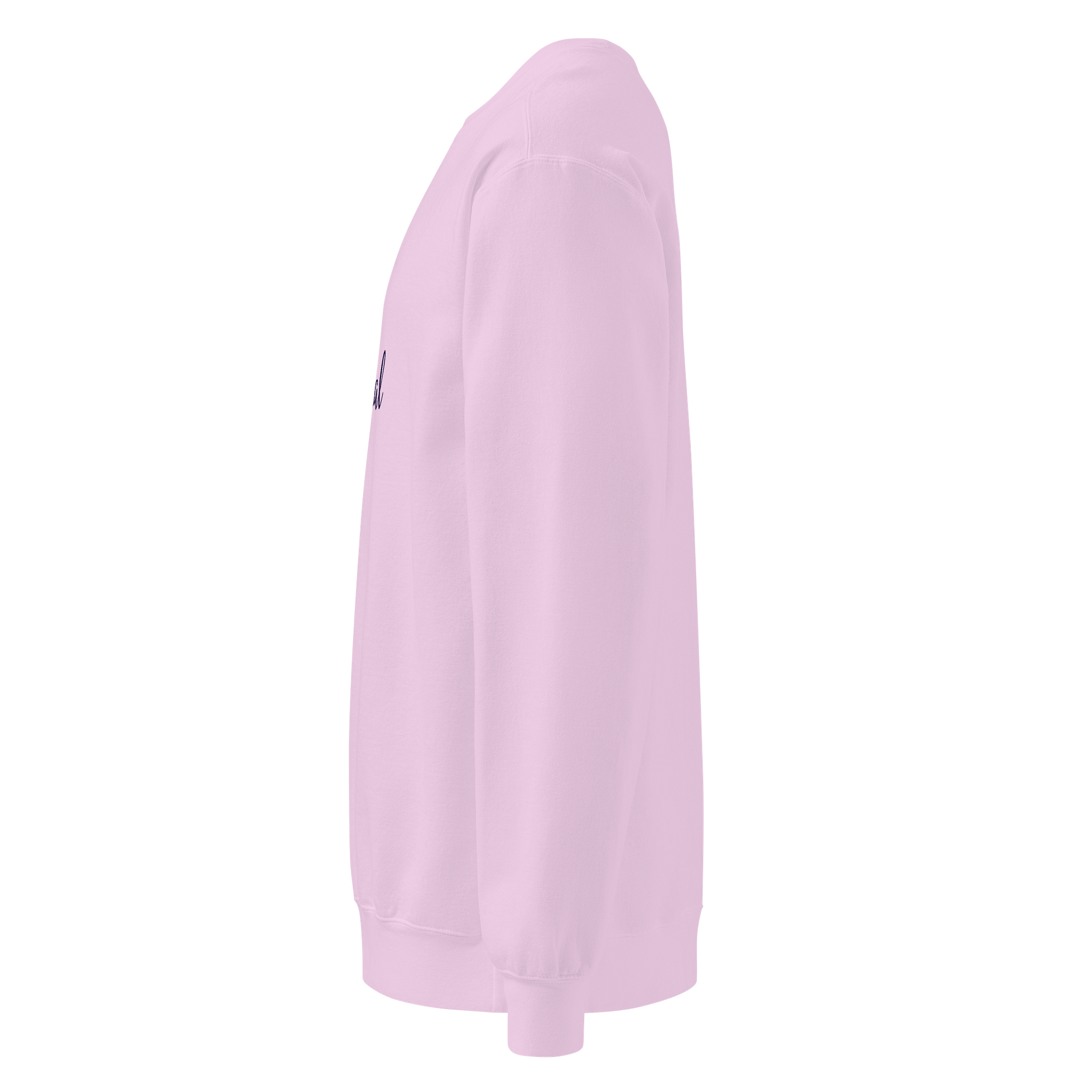 MEOWGICAL Sweater product image (4)