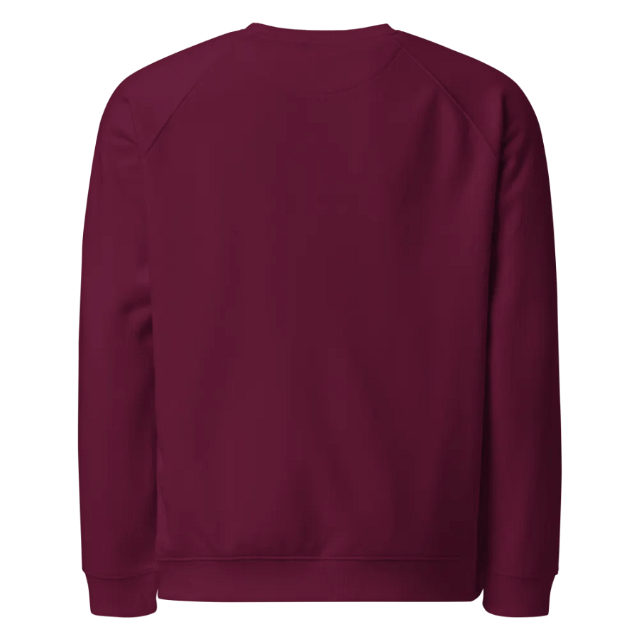 SOL'S Unisex Organic Raglan Sweatshirt product image (4)