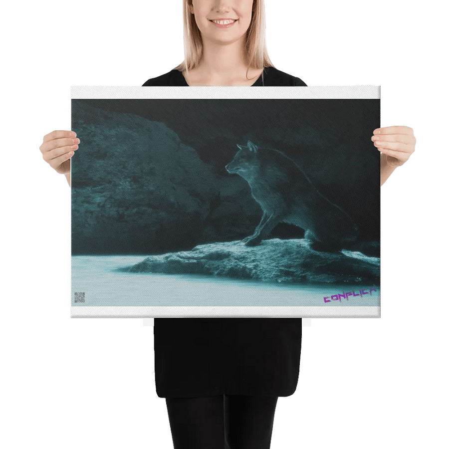 c0n-canvas.v1 product image (2)