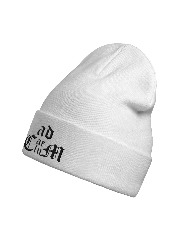 Generic Logo Beanie (White) product image (2)