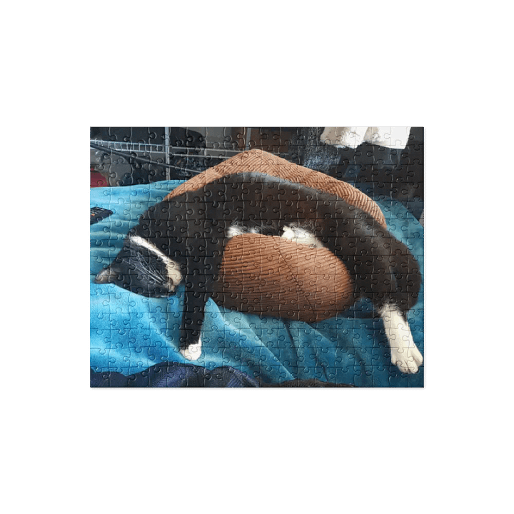 Konked Out Arlo product image (1)