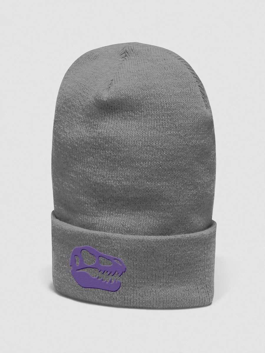 TyyRex Logo Beanie product image (18)