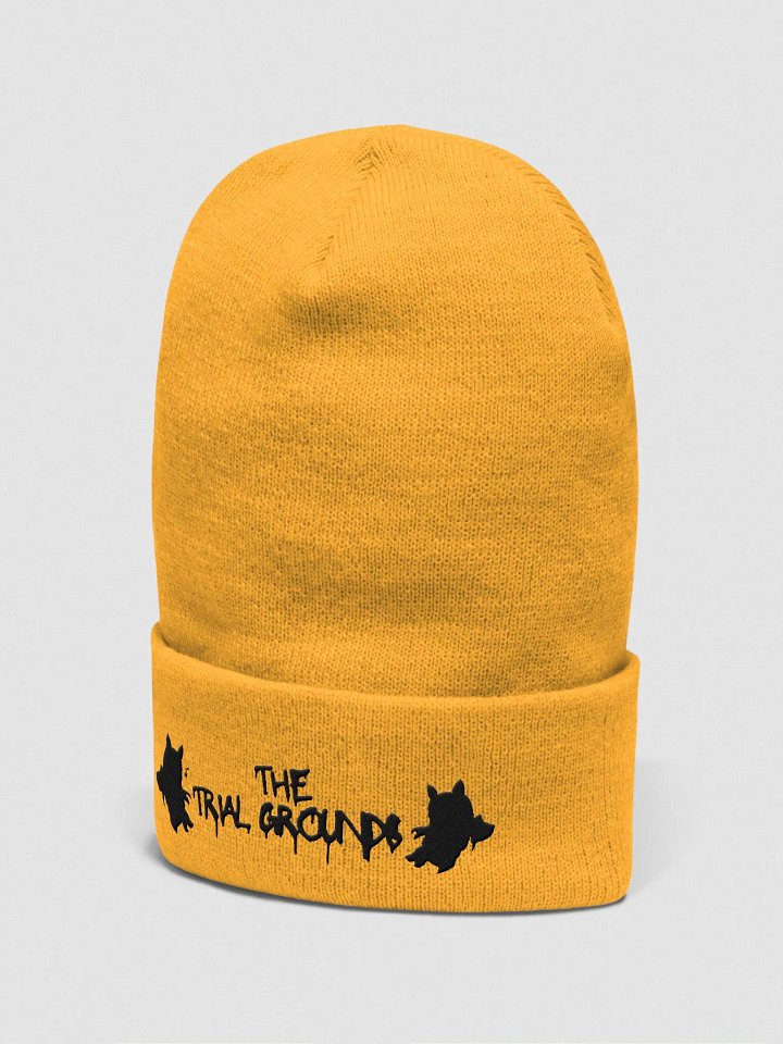 Community beanie product image (8)