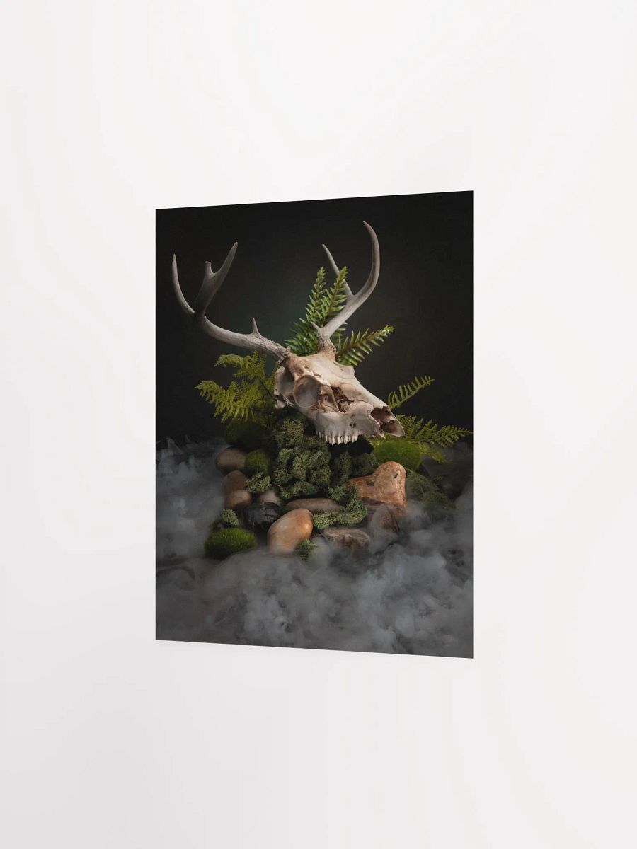 "Out of the Fog" - 8x10 Matte Print product image (3)