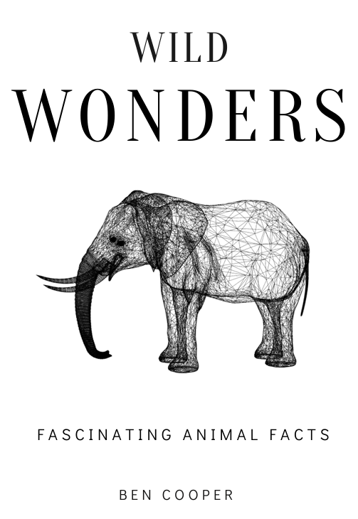 WILD WONDERS - FASCINATING ANIMAL FACTS product image (2)