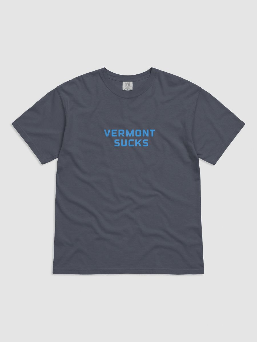 Vermont Sucks tshirt product image (1)