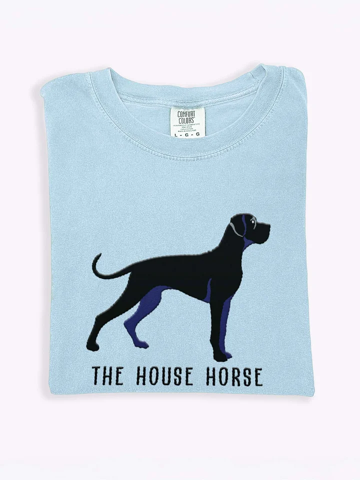 The House Horse T-Shirt(Embroidered) of a Great Dane(Black) product image (1)