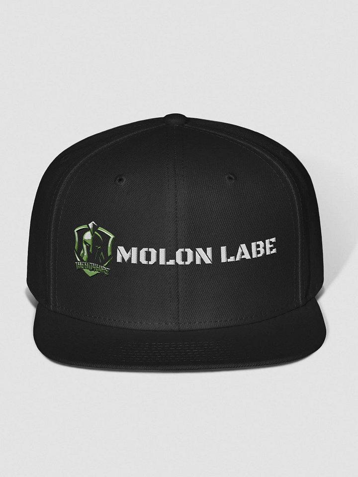 TheHit4Hire Molon Labe Wool Blend Cap product image (1)