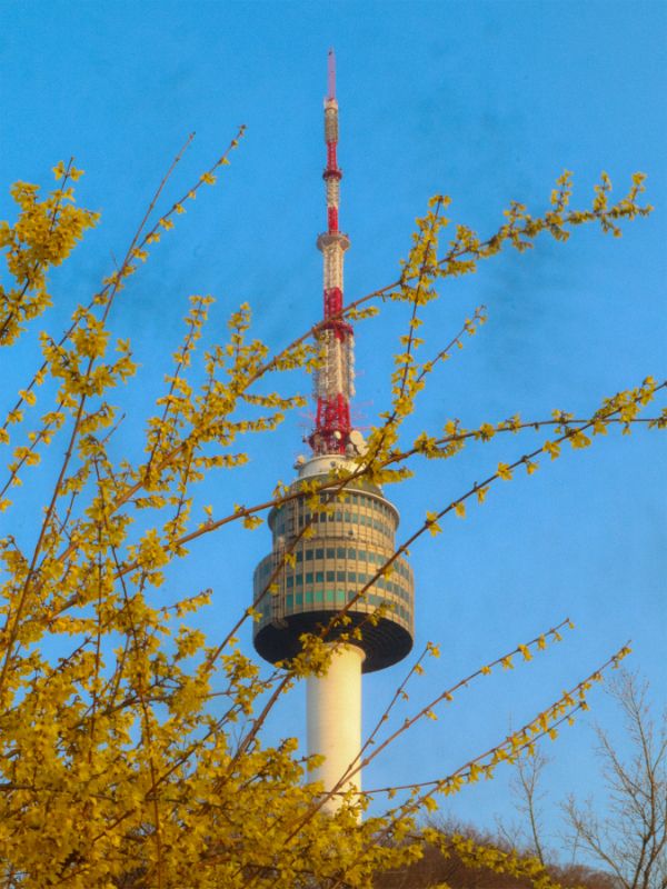 Namsan Tower - Photo product image (1)