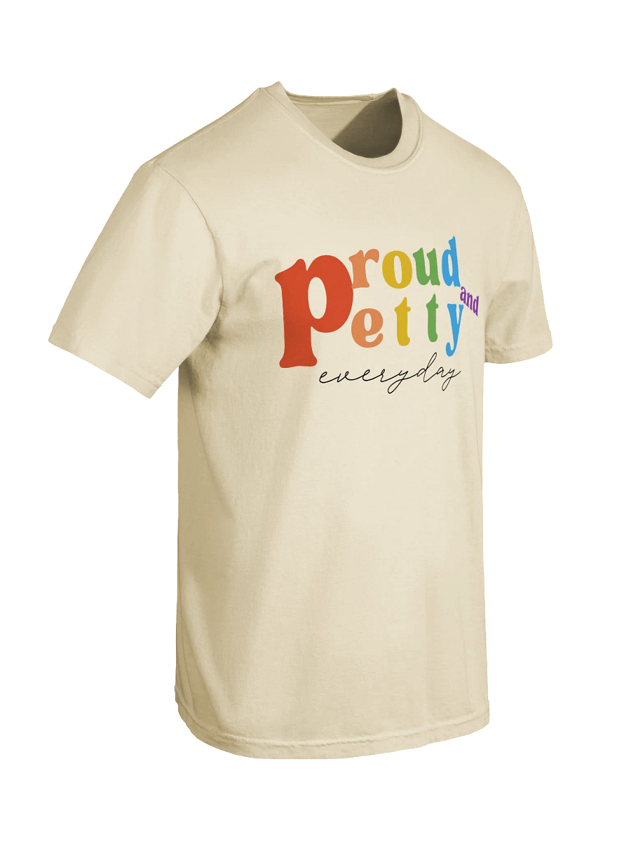 Vibrant Pride Heavyweight Tee product image (21)