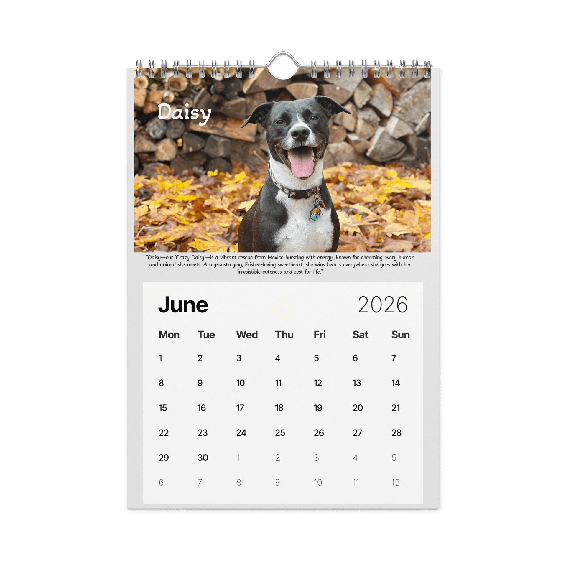 2026 Saving Great Animals Rescue Calendar product image (7)