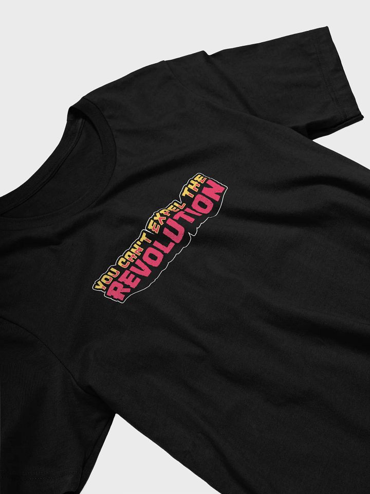 You Can't Expel The Revolution Student Tee product image (2)