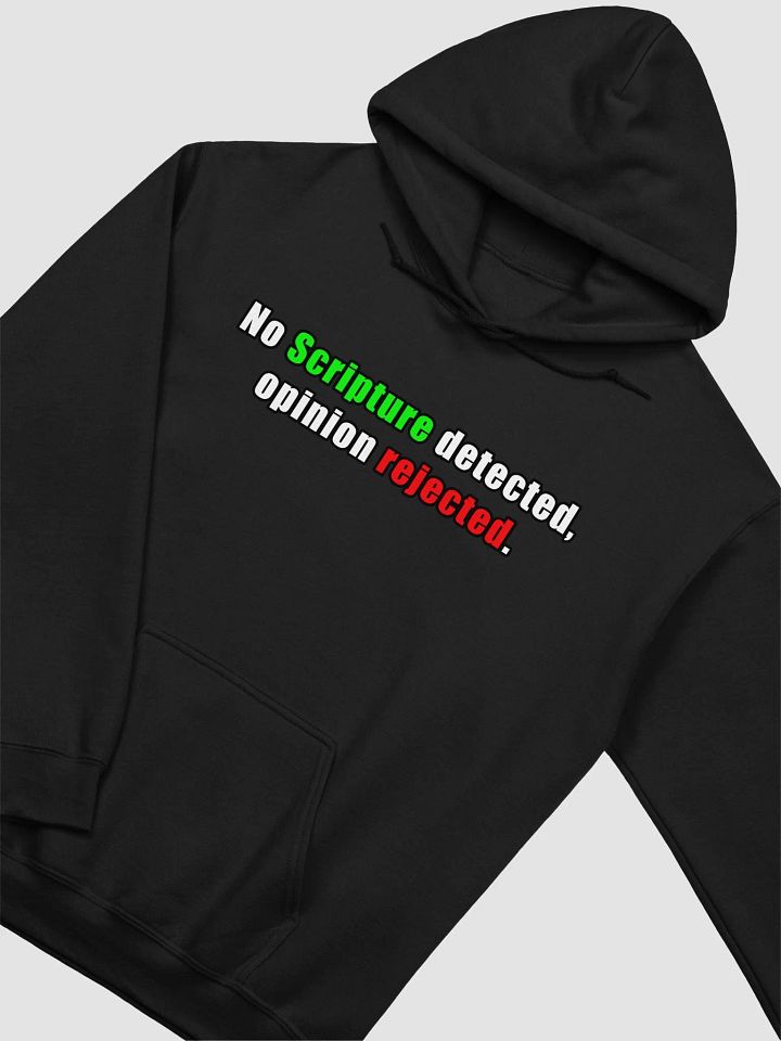 No Scripture Detected Hoodie product image (6)