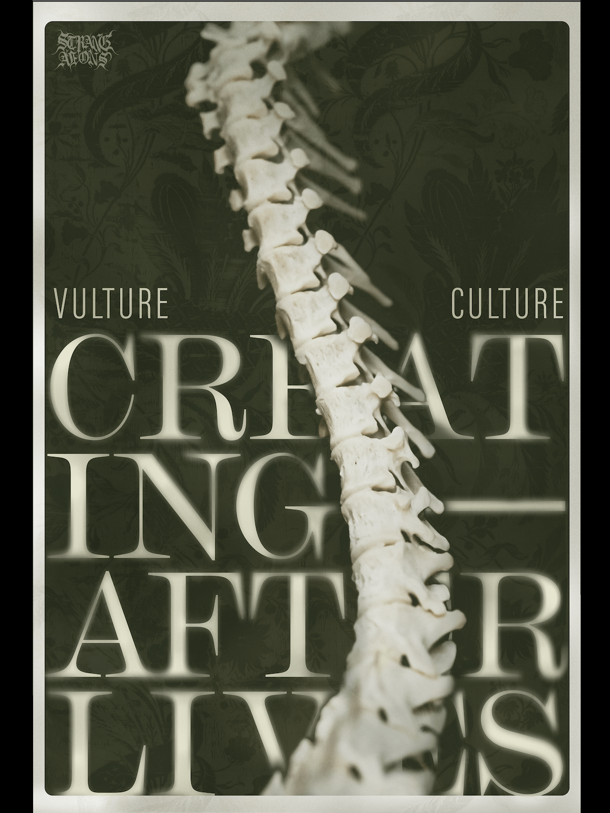 Vulture Culture: Creating Afterlives Poster product image (1)