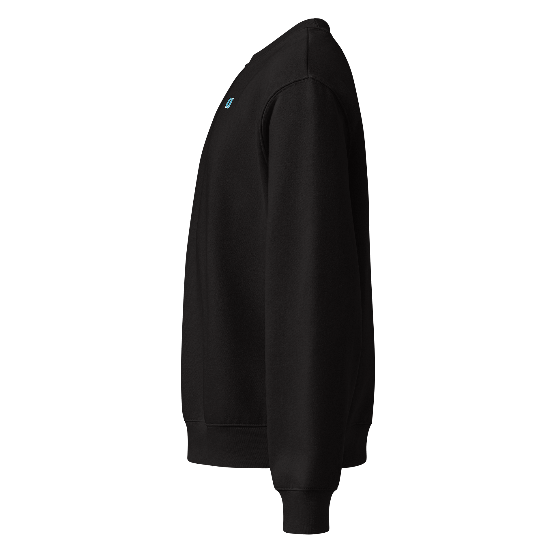 CS Oversized Heavyweight Sweatshirt product image (7)
