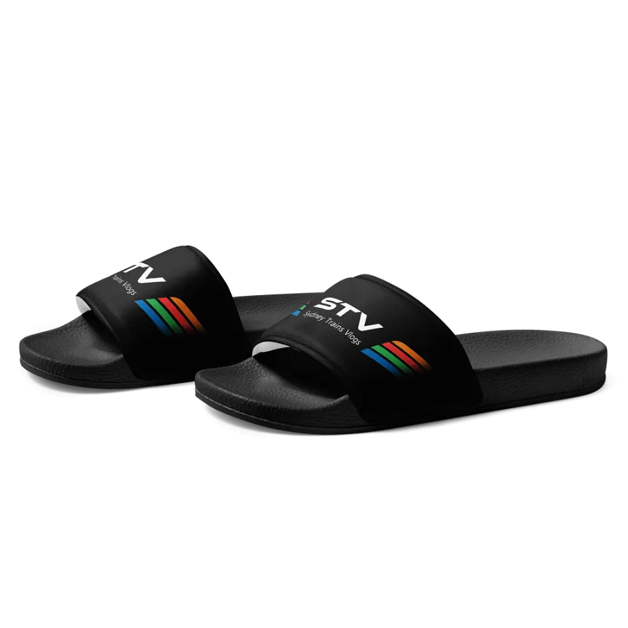 STV Slides product image (4)