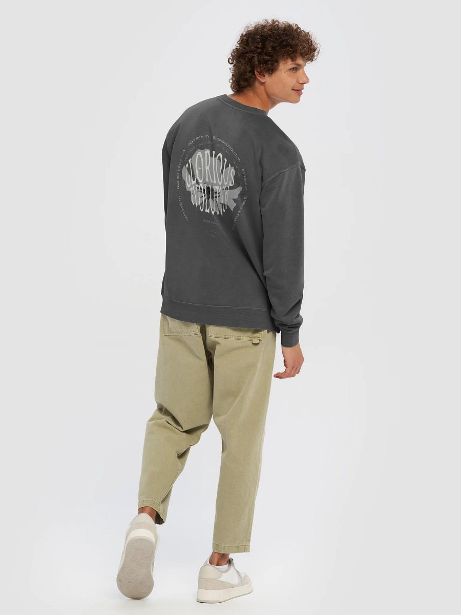 false idols - Glorious Evolution Crewneck product image (4)