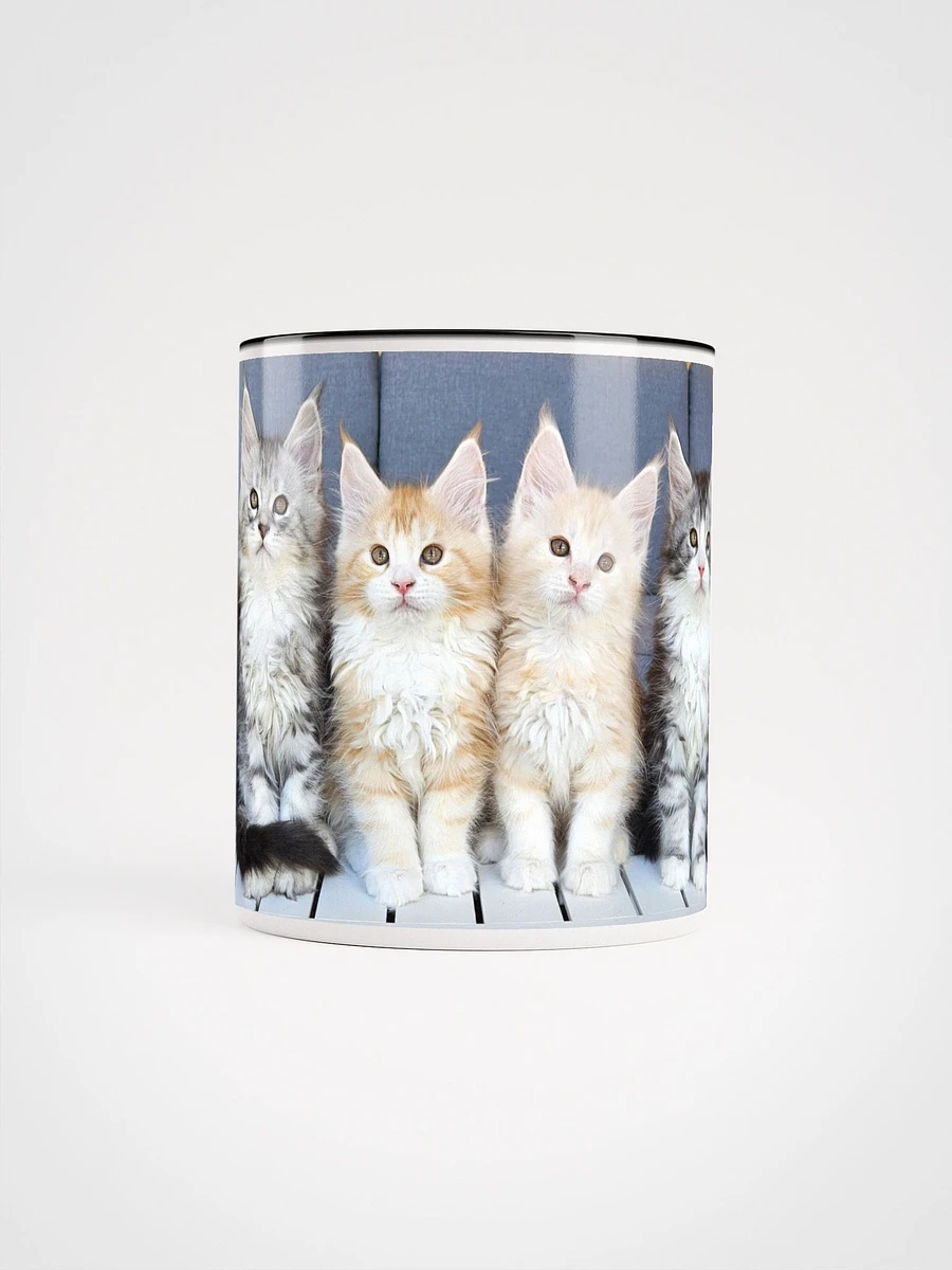 Maine Coon Kittens Mug With Color product image (5)
