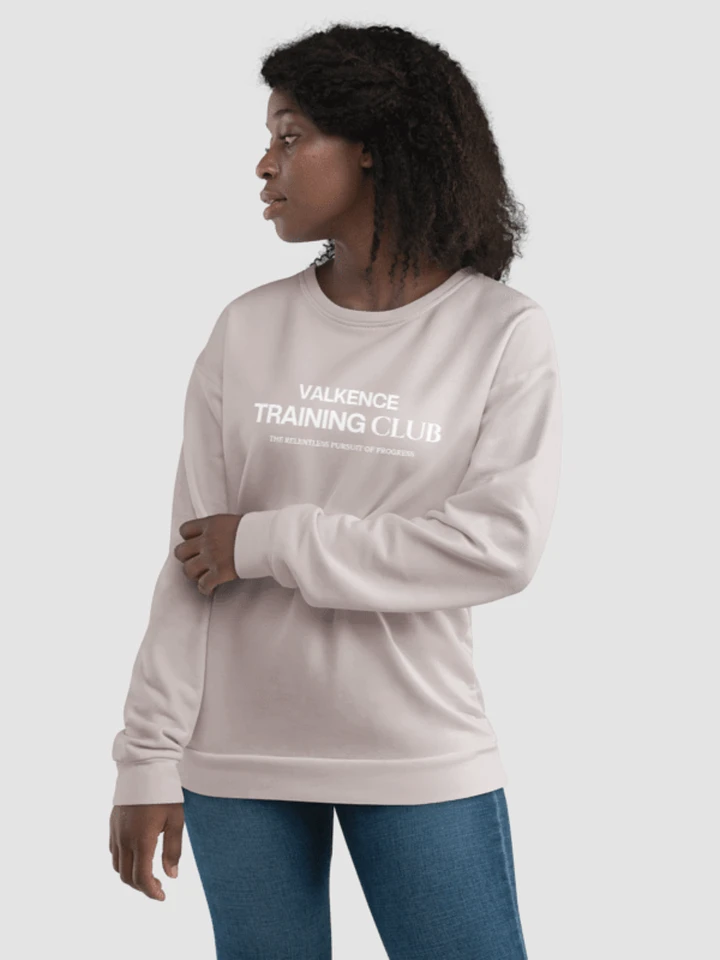 Training Club Sweatshirt - Mauve Gray product image (1)