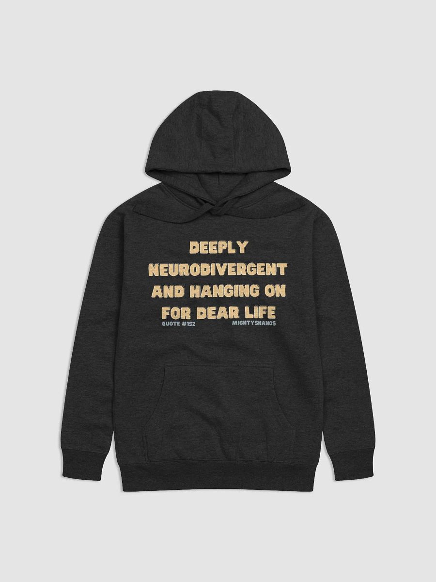 Neurodivergent Hoodie product image (4)